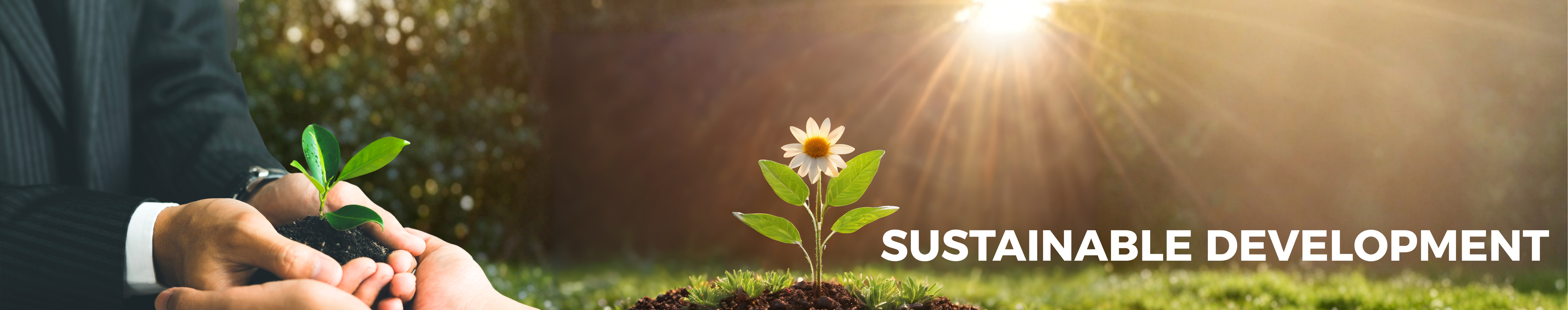 Sustainable Development