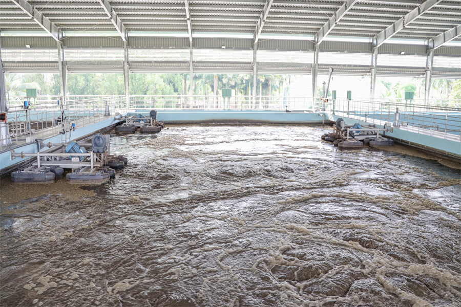 BIWASE WITH ASBR APPLICATION IN DOMESTIC WASTE WATER TREATMENT