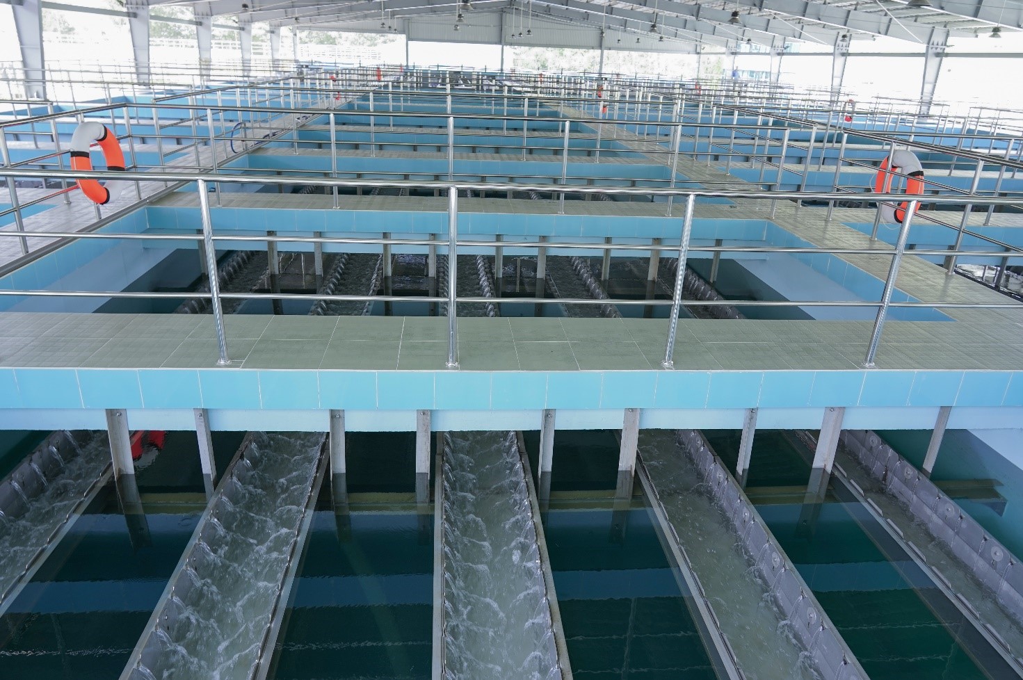 HỆ THỐNG MÁNG THU NƯỚC TRONG SAU LẮNG - ( BỂ LẮNG CÓ MÁI CHE)<br />TROUGH SYSTEM TO COLLECT WATER AFTER SEDIMENTATION (SEDIMENT TANK WITH ROOF COVER)