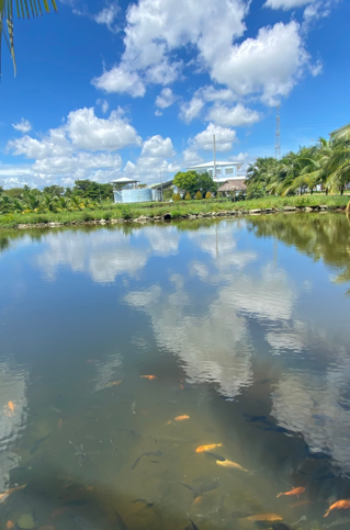 Xử lý nước thải